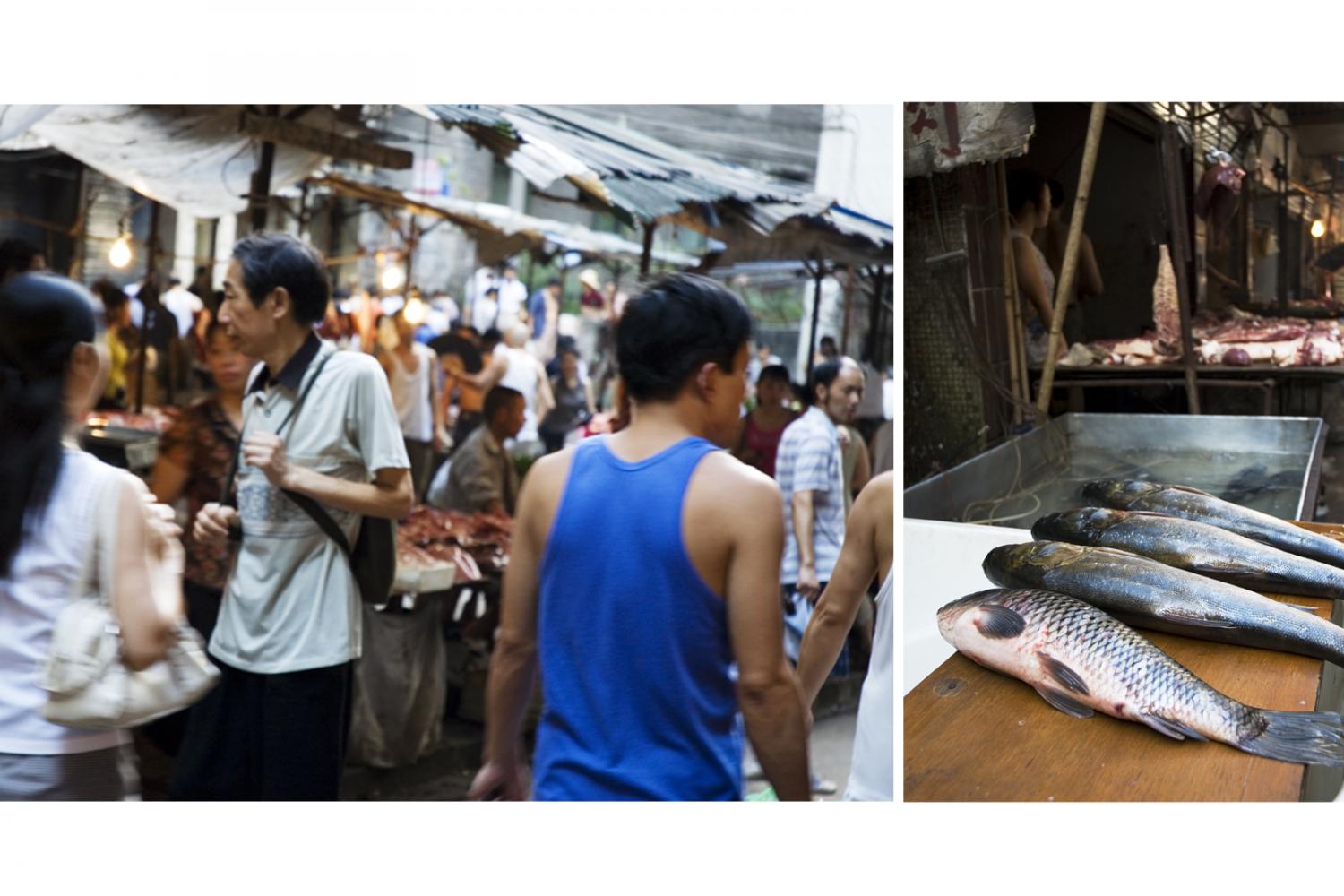 Reportage en Chine